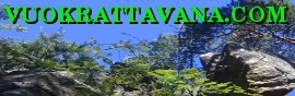 vuokrattavana.com